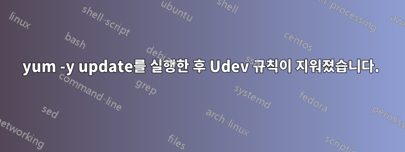 yum -y update를 실행한 후 Udev 규칙이 지워졌습니다.