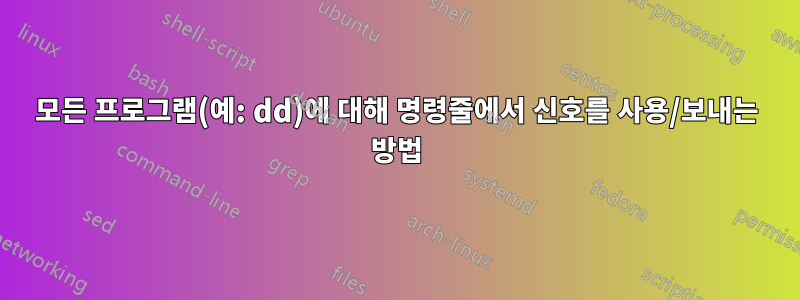 모든 프로그램(예: dd)에 대해 명령줄에서 신호를 사용/보내는 방법