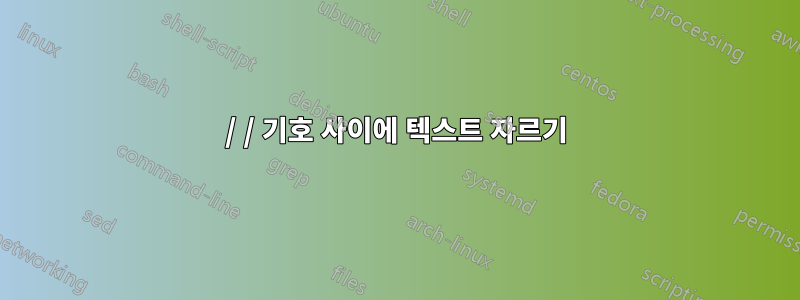 / / 기호 사이에 텍스트 자르기