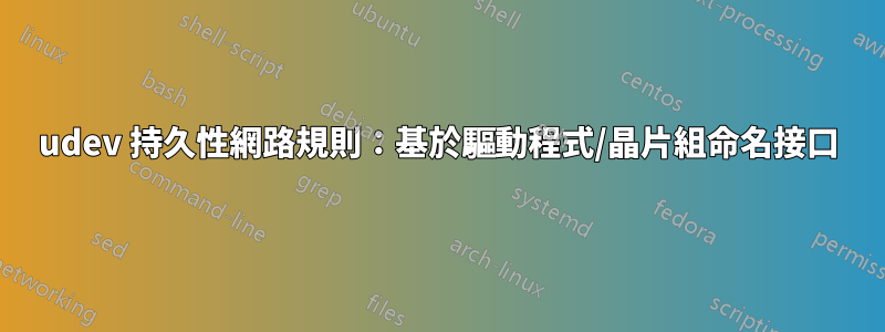 udev 持久性網路規則：基於驅動程式/晶片組命名接口