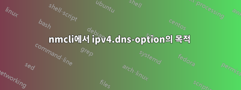 nmcli에서 ipv4.dns-option의 목적