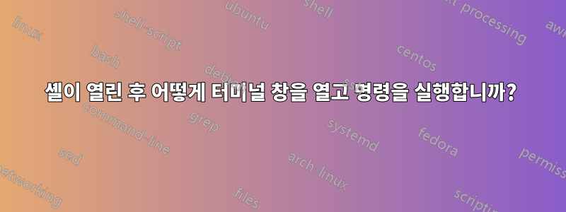 셸이 열린 후 어떻게 터미널 창을 열고 명령을 실행합니까?