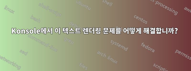 Konsole에서 이 텍스트 렌더링 문제를 어떻게 해결합니까?