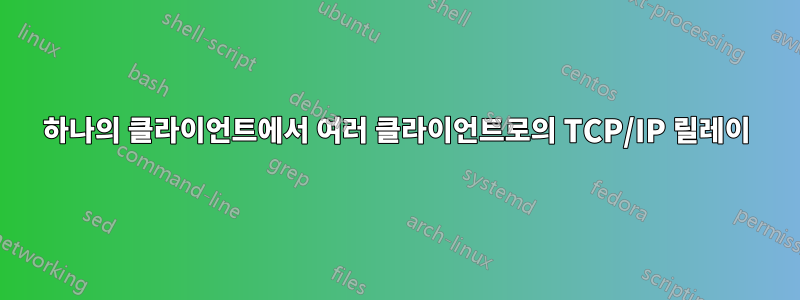 하나의 클라이언트에서 여러 클라이언트로의 TCP/IP 릴레이