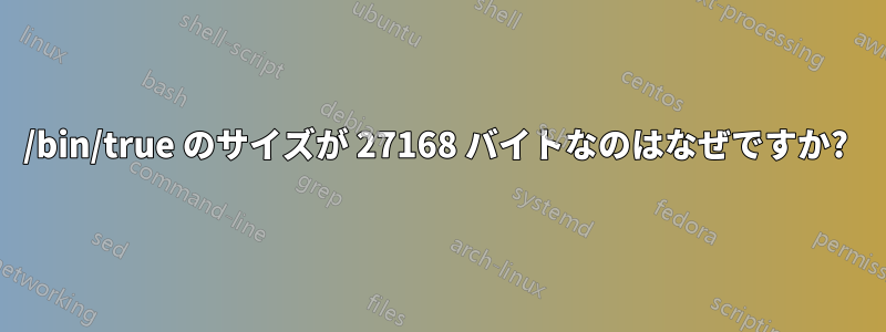 /bin/true のサイズが 27168 バイトなのはなぜですか? 