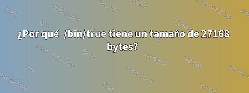 ¿Por qué /bin/true tiene un tamaño de 27168 bytes? 