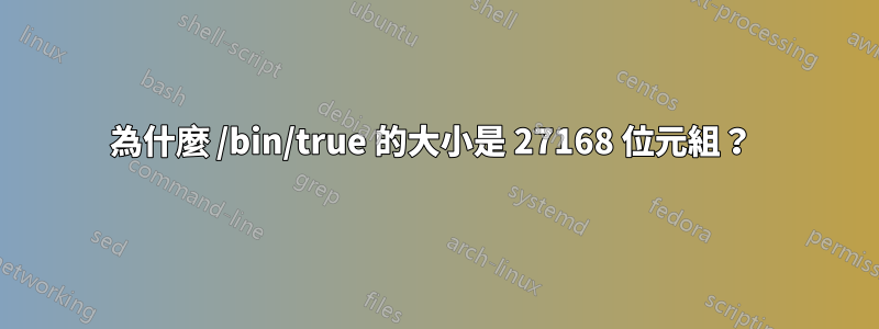 為什麼 /bin/true 的大小是 27168 位元組？ 