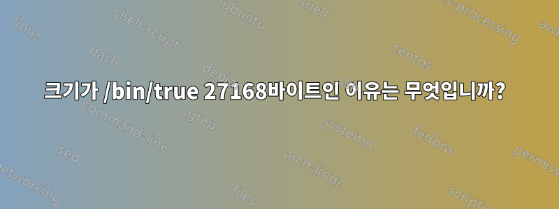 크기가 /bin/true 27168바이트인 이유는 무엇입니까? 