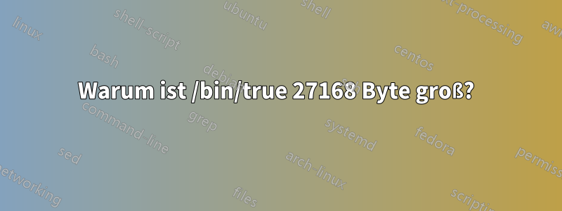 Warum ist /bin/true 27168 Byte groß? 