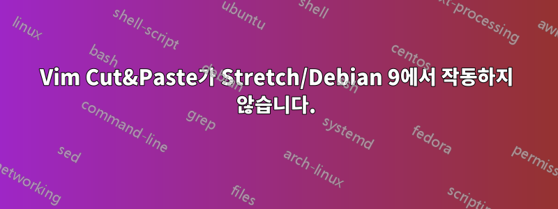 Vim Cut&Paste가 Stretch/Debian 9에서 작동하지 않습니다.