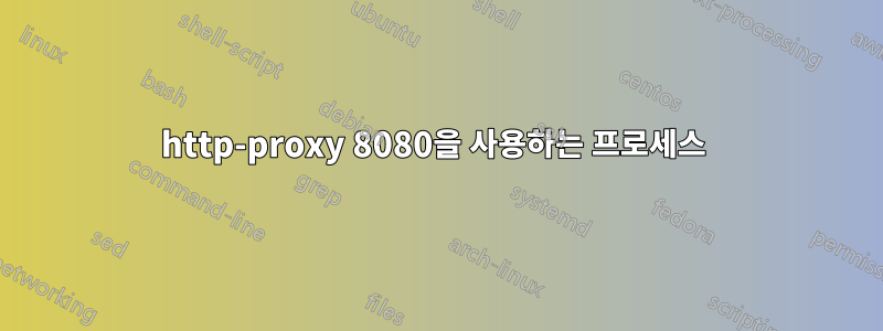 http-proxy 8080을 사용하는 프로세스 