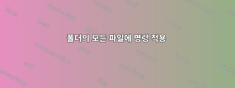 폴더의 모든 파일에 명령 적용