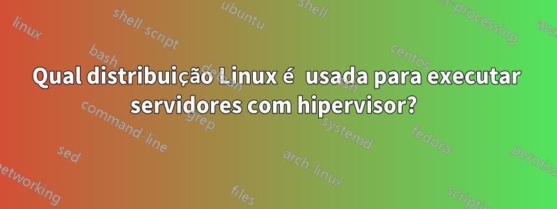 Qual distribuição Linux é usada para executar servidores com hipervisor? 