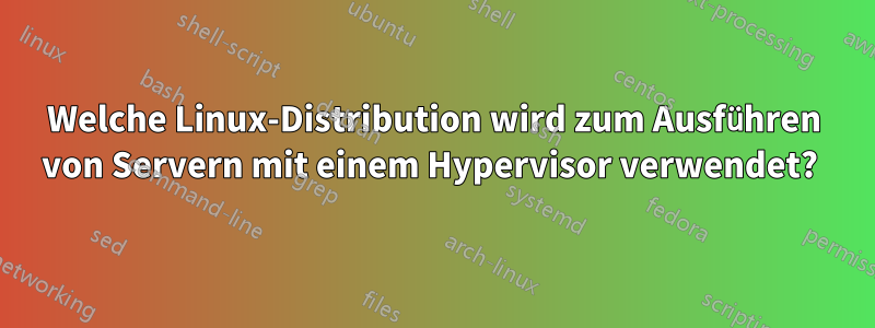 Welche Linux-Distribution wird zum Ausführen von Servern mit einem Hypervisor verwendet? 