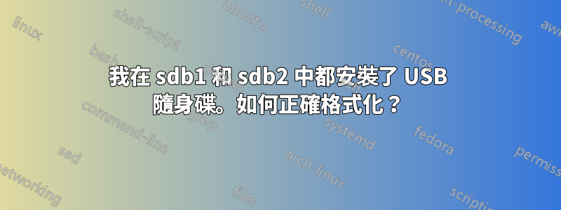 我在 sdb1 和 sdb2 中都安裝了 USB 隨身碟。如何正確格式化？