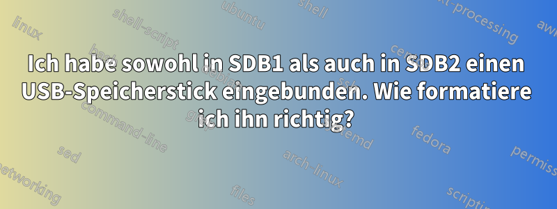 Ich habe sowohl in SDB1 als auch in SDB2 einen USB-Speicherstick eingebunden. Wie formatiere ich ihn richtig?