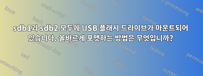 sdb1과 sdb2 모두에 USB 플래시 드라이브가 마운트되어 있습니다. 올바르게 포맷하는 방법은 무엇입니까?