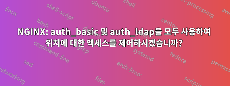 NGINX: auth_basic 및 auth_ldap을 모두 사용하여 위치에 대한 액세스를 제어하시겠습니까?