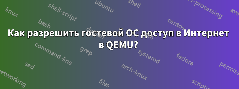 Как разрешить гостевой ОС доступ в Интернет в QEMU?