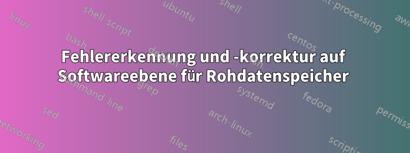 Fehlererkennung und -korrektur auf Softwareebene für Rohdatenspeicher