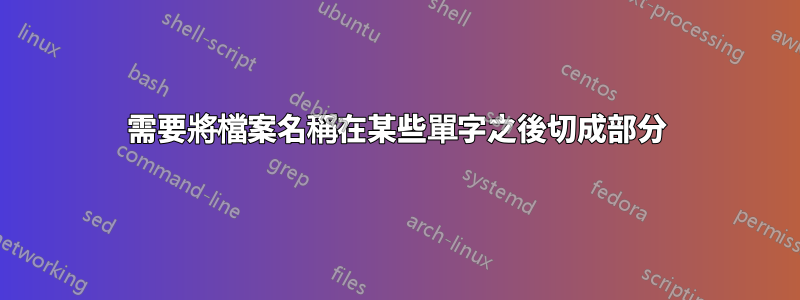 需要將檔案名稱在某些單字之後切成部分