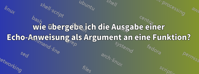 wie übergebe ich die Ausgabe einer Echo-Anweisung als Argument an eine Funktion?