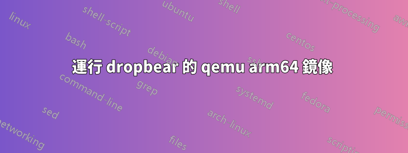 運行 dropbear 的 qemu arm64 鏡像