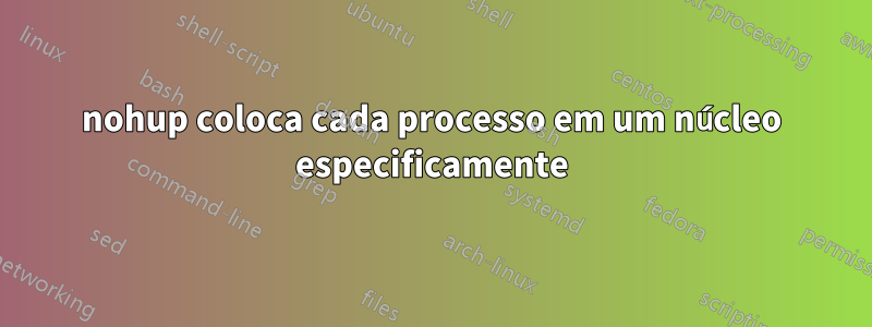 nohup coloca cada processo em um núcleo especificamente