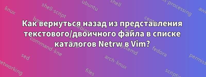 Как вернуться назад из представления текстового/двоичного файла в списке каталогов Netrw в Vim?