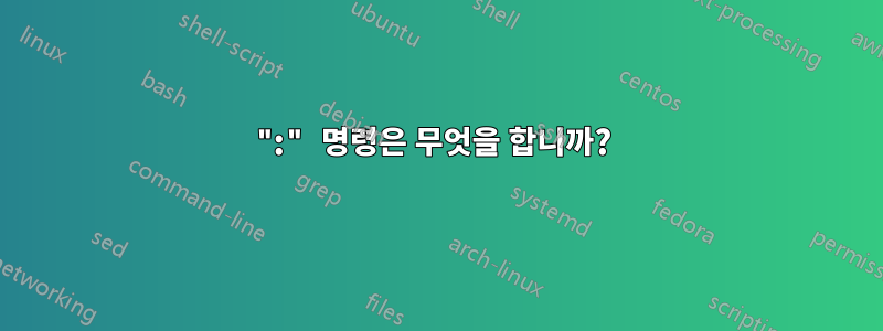 ":" 명령은 무엇을 합니까? 