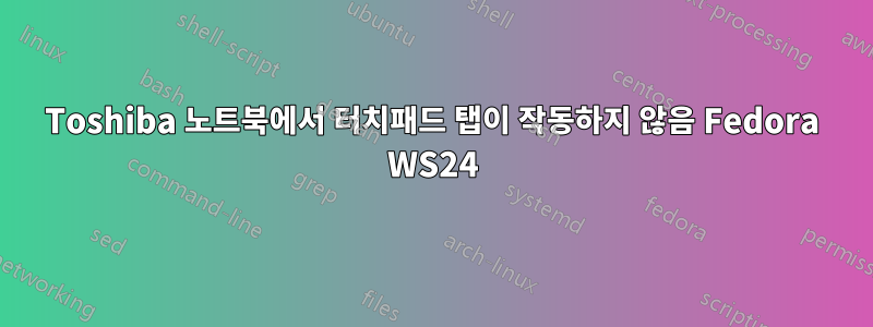 Toshiba 노트북에서 터치패드 탭이 작동하지 않음 Fedora WS24