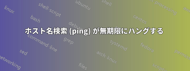 ホスト名検索 (ping) が無期限にハングする