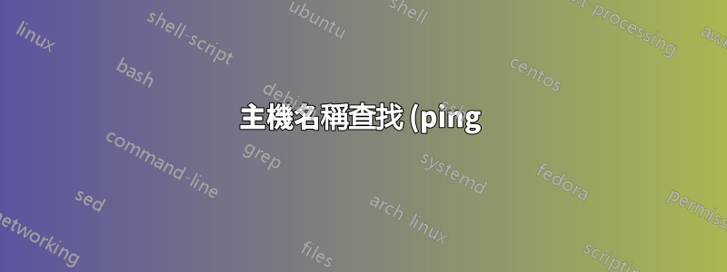 主機名稱查找 (ping) 無限期掛起