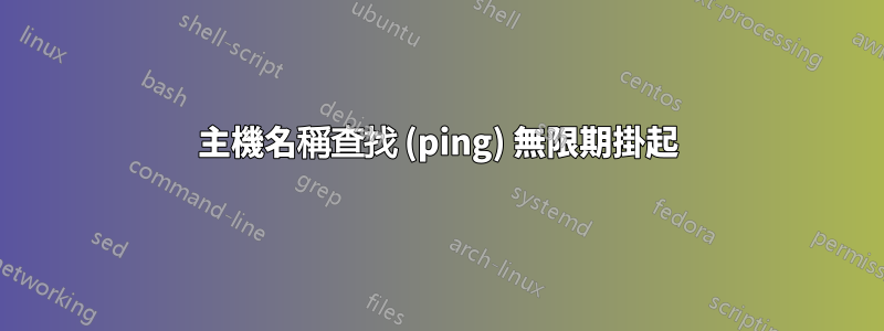 主機名稱查找 (ping) 無限期掛起