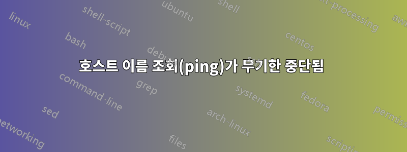 호스트 이름 조회(ping)가 무기한 중단됨