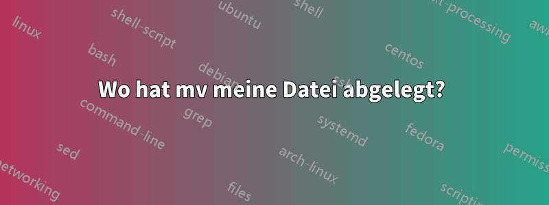 Wo hat mv meine Datei abgelegt?