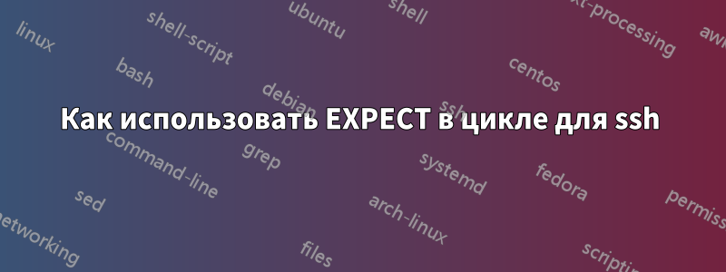 Как использовать EXPECT в цикле для ssh