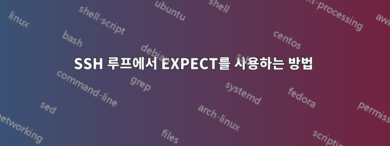 SSH 루프에서 EXPECT를 사용하는 방법