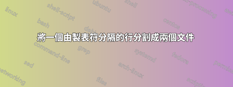 將一個由製表符分隔的行分割成兩個文件