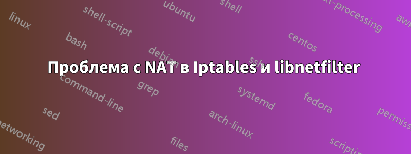 Проблема с NAT в Iptables и libnetfilter