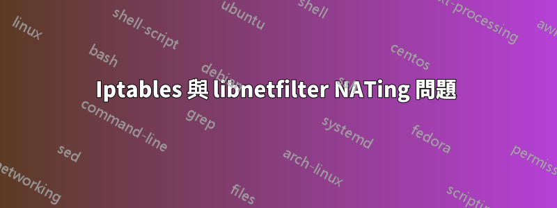 Iptables 與 libnetfilter NATing 問題