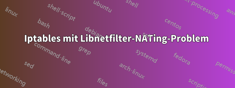 Iptables mit Libnetfilter-NATing-Problem