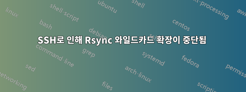 SSH로 인해 Rsync 와일드카드 확장이 중단됨