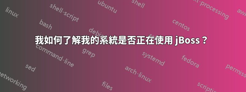 我如何了解我的系統是否正在使用 jBoss？