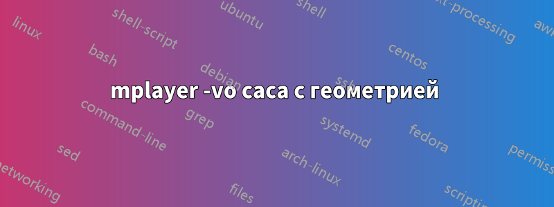 mplayer -vo caca с геометрией