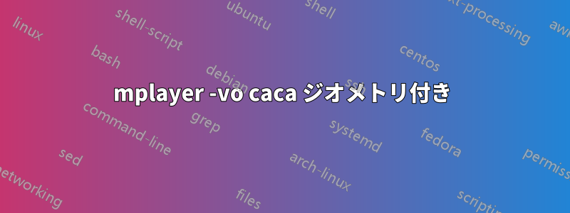 mplayer -vo caca ジオメトリ付き