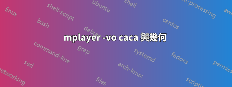 mplayer -vo caca 與幾何