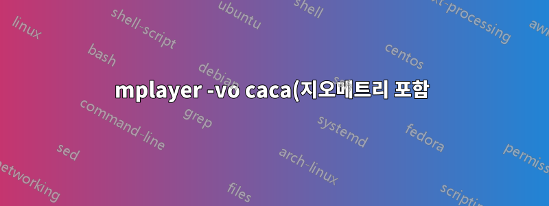 mplayer -vo caca(지오메트리 포함)