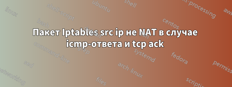 Пакет Iptables src ip не NAT в случае icmp-ответа и tcp ack