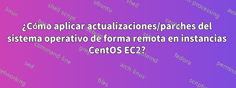 ¿Cómo aplicar actualizaciones/parches del sistema operativo de forma remota en instancias CentOS EC2?